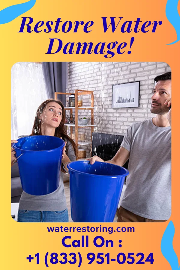 water restoration Peak Water Damage LLC Washington