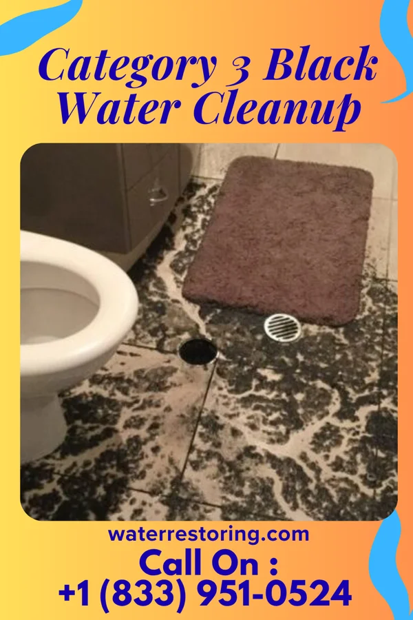 Category 3 Black Water Cleanup in Washington, NJ