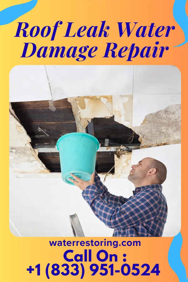 Roof Leak Water Damage Repair in Washington, NJ