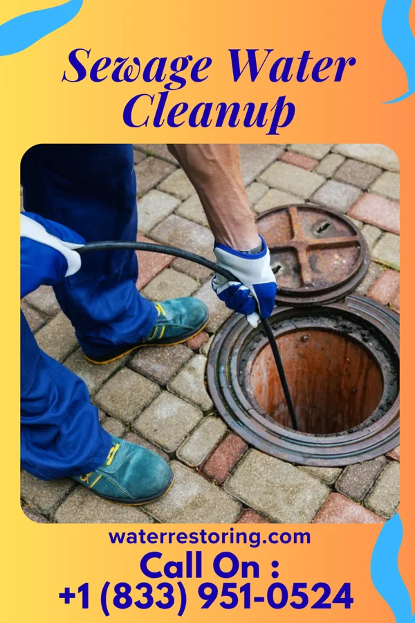Sewage Water Cleanup in Washington, NJ