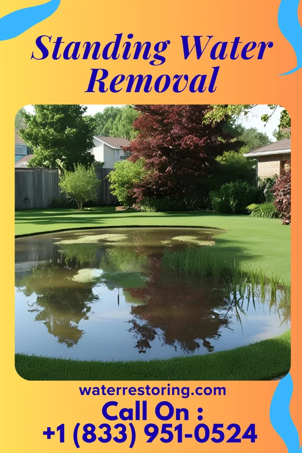 Standing Water Removal in Washington, NJ